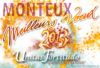 Bonne année 2013