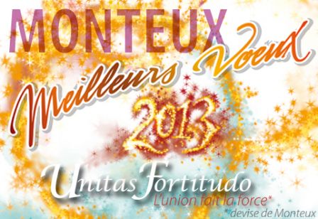 Bonne année 2013, déc. 2012 Bonne année 2013